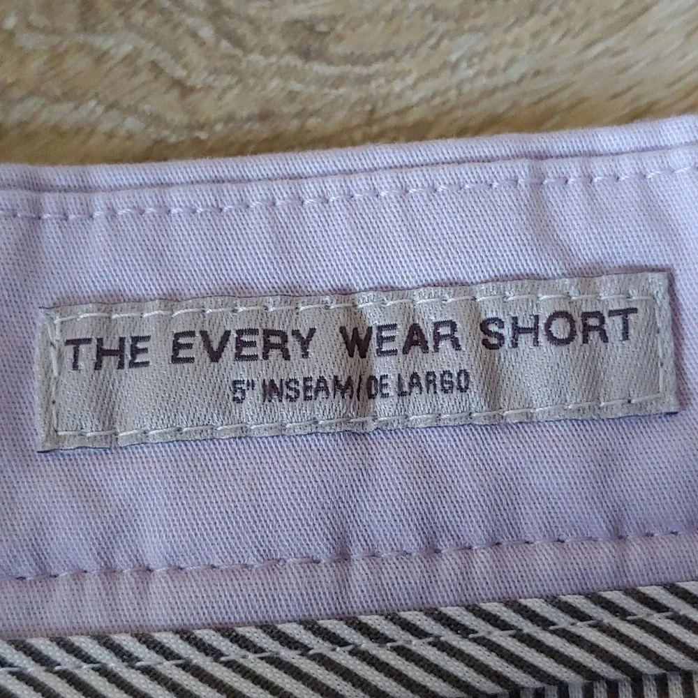 NWT Goodfellow & Co Men's Every Wear Flat Front Shorts Purple Size 32